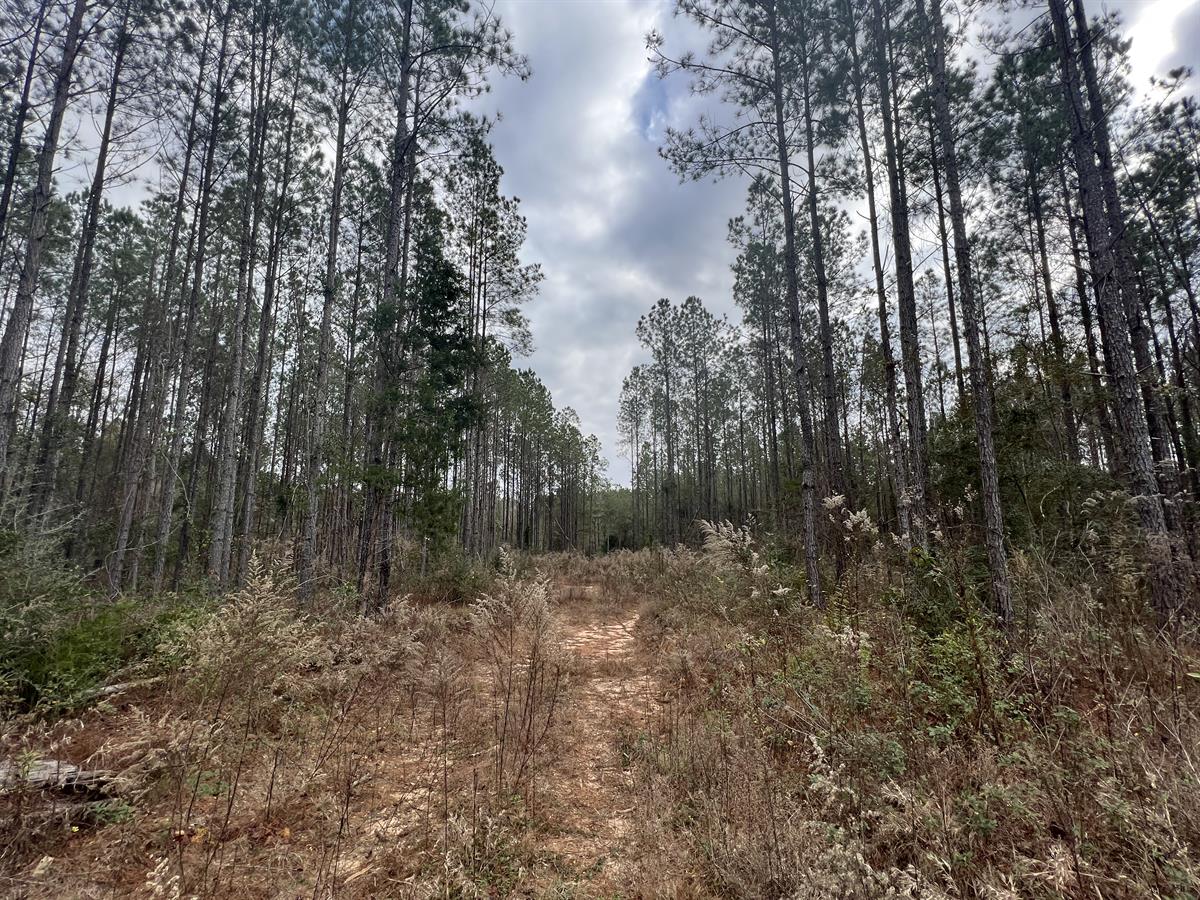 Versatile Rural Property with YearRound Creek, Homesites LANDFLIP BLOG