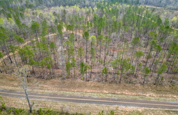 Walnut Creek Farm Offers Good Hunting, Water Features