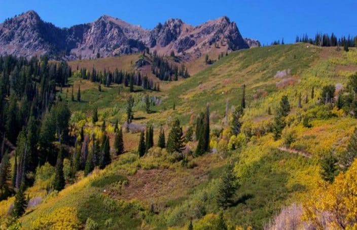 Wasatch Peaks Ranch: Pristine Recreational Property in the West