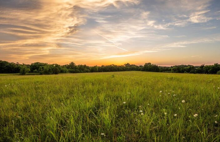 Whistlen' Ridge is a Haven for Outdoor Enthusiasts