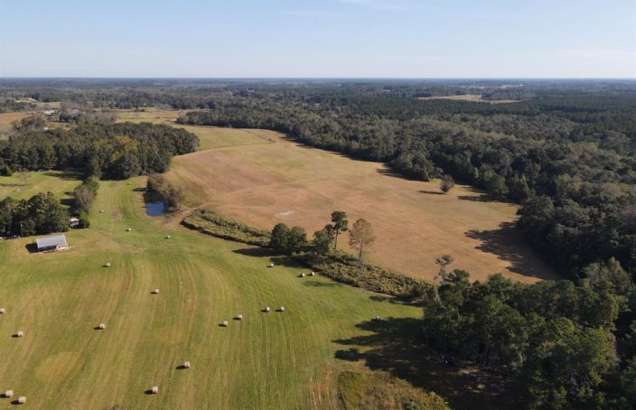 Wright's Creek Farm: Live, Farm, and Hunt in Alabama