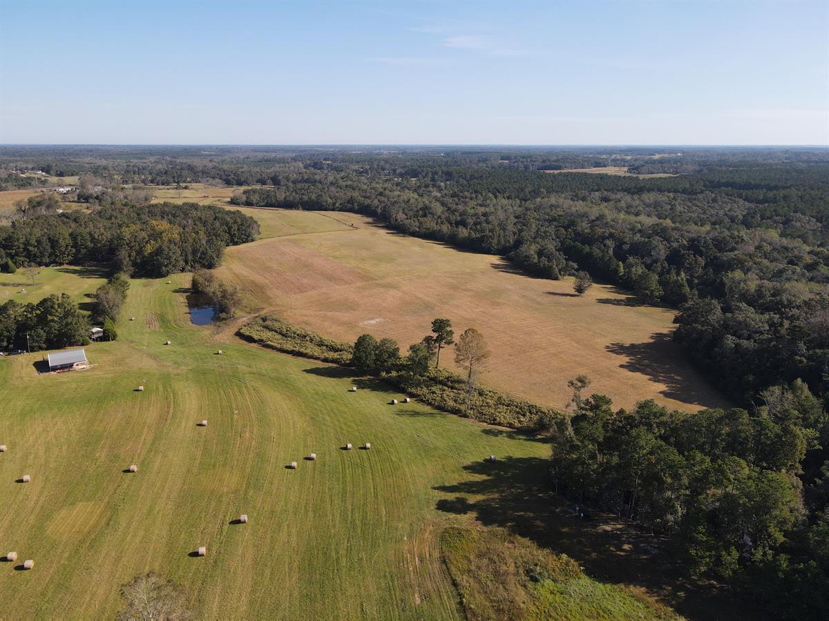 Wright's Creek Farm Live, Farm, and Hunt in Alabama LANDFLIP BLOG