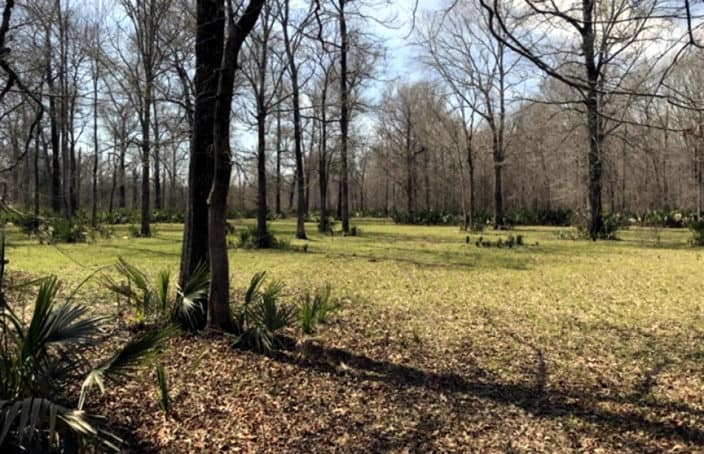 Year-Round Recreational Property in Louisiana